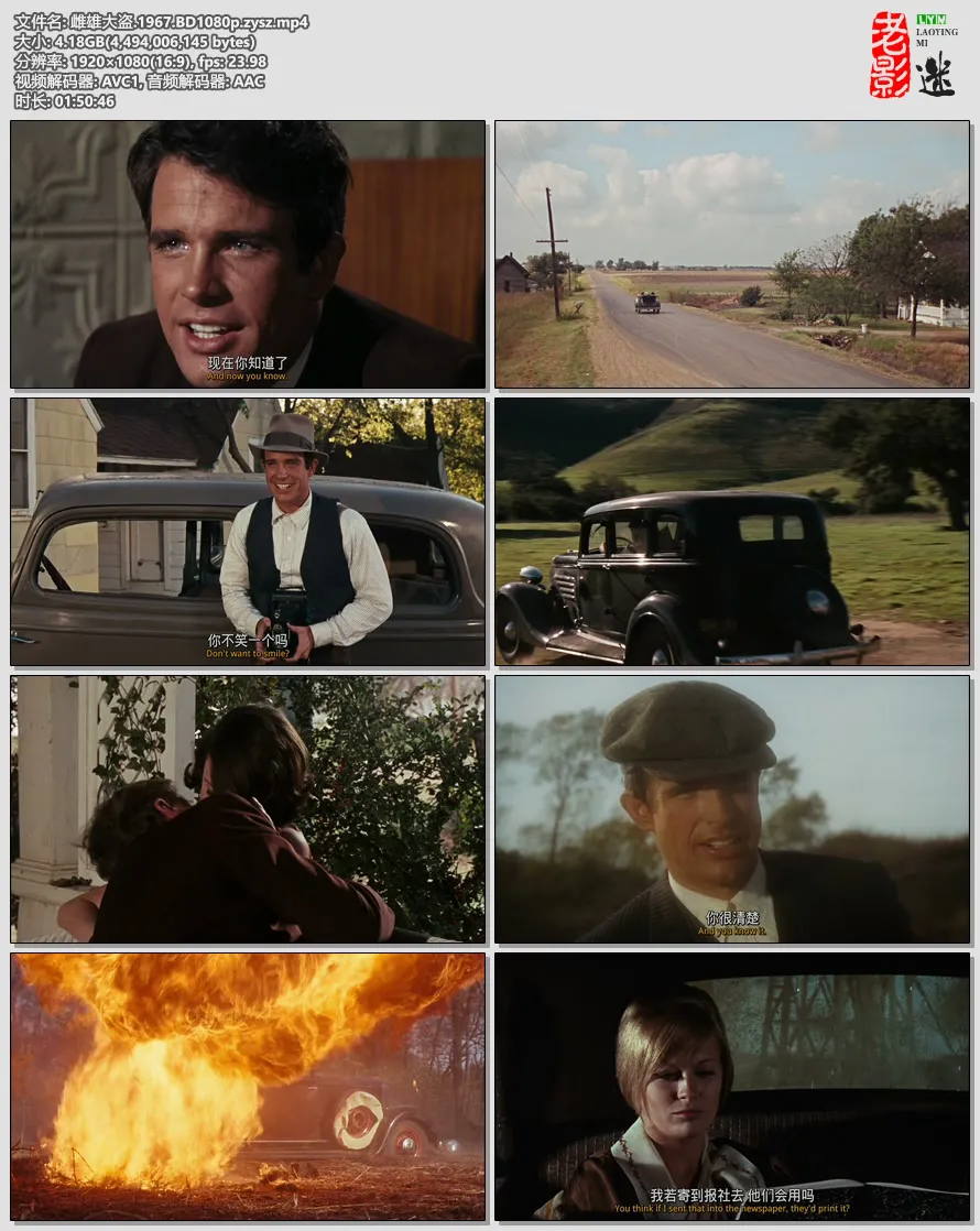 雌雄大盗.1967.webp