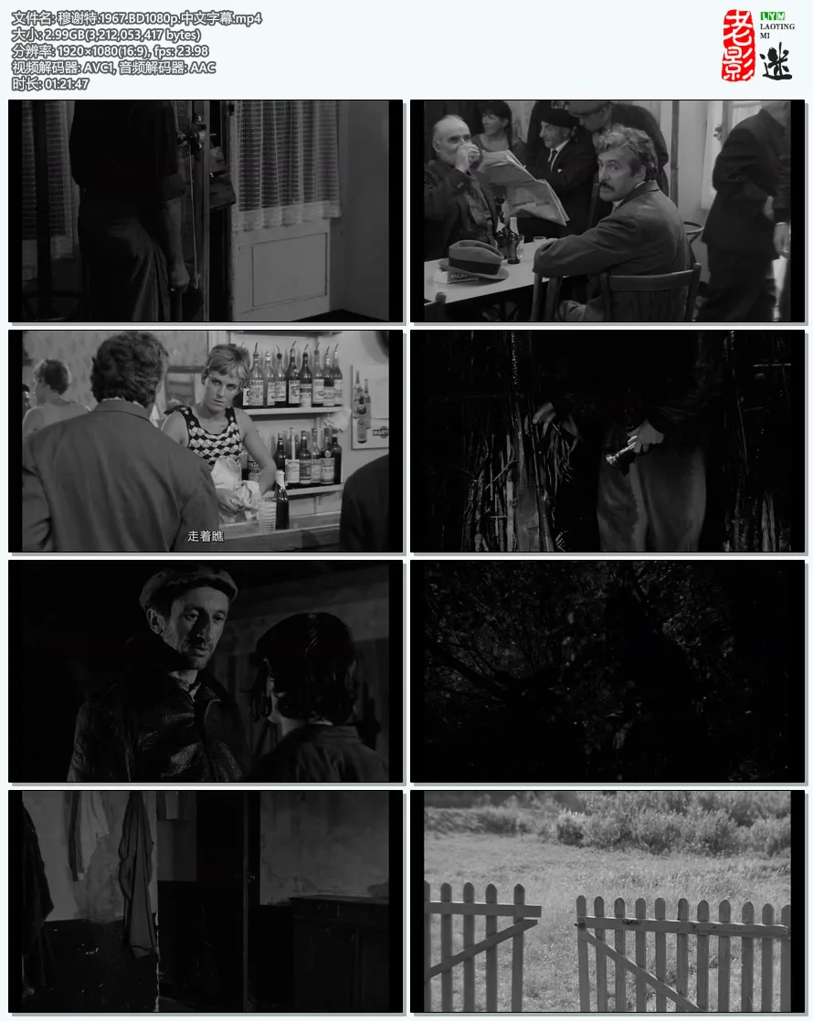 穆谢特.1967.webp