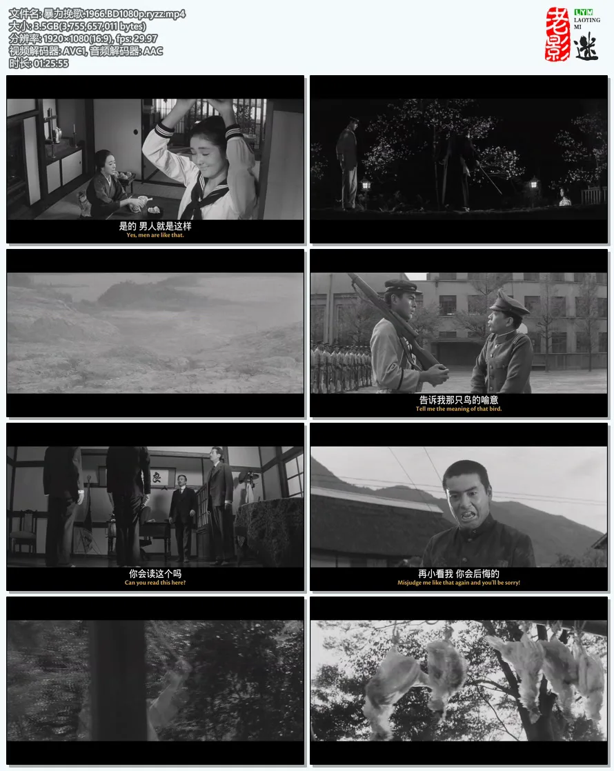 暴力挽歌.1966.BD1080p.ryzz.mp4.webp
