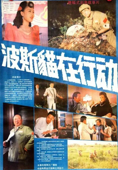 波斯猫在行动.webp