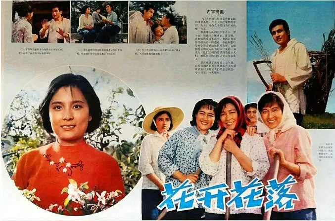 花开花落电影海报.webp