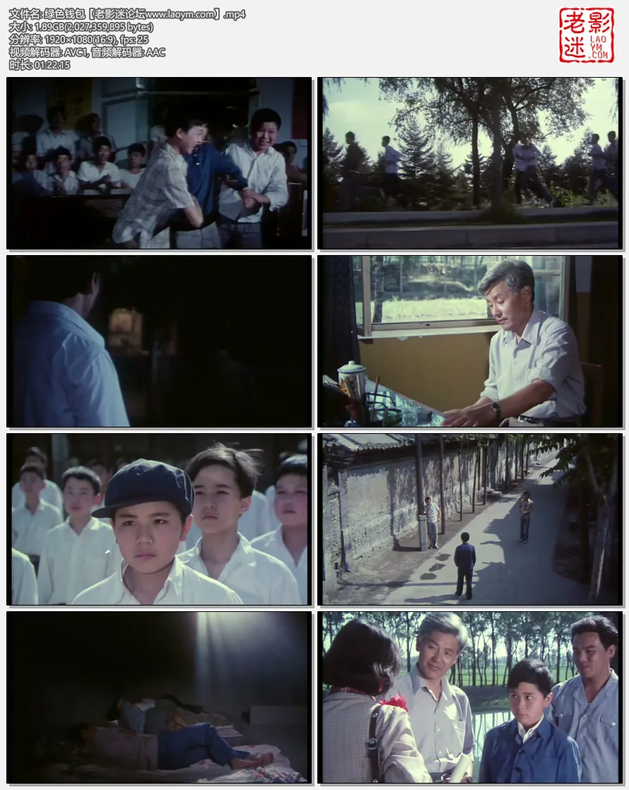 绿色钱包.webp