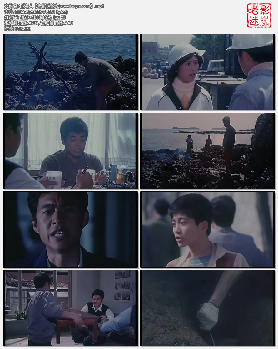 碰海人.webp