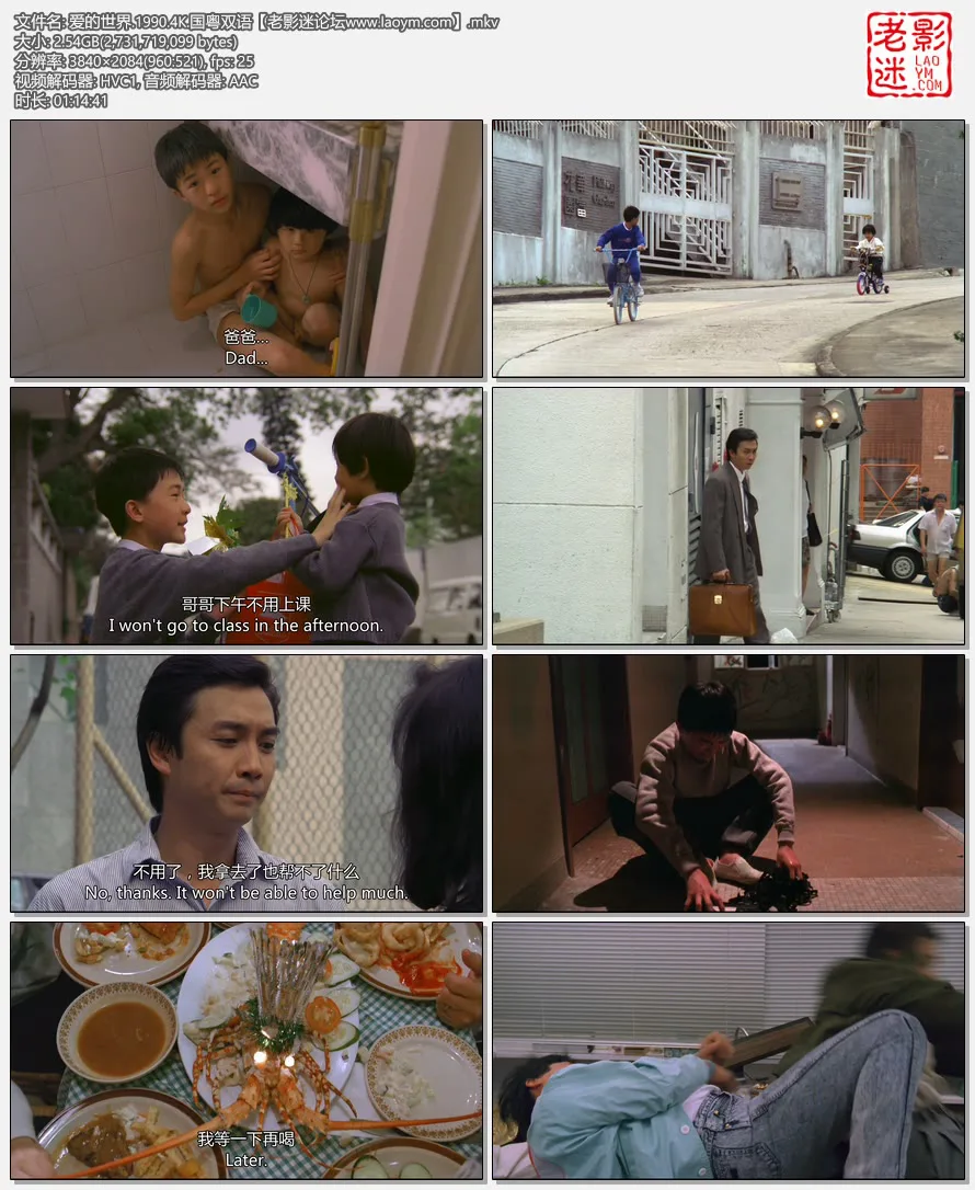 爱的世界.1990.4K.国粤双语【老影迷论坛www.laoym.com】.mkv.webp