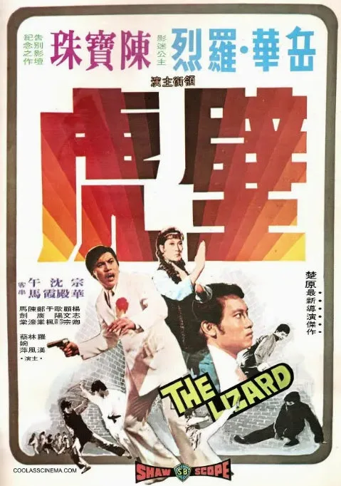 壁虎的电影海报.webp