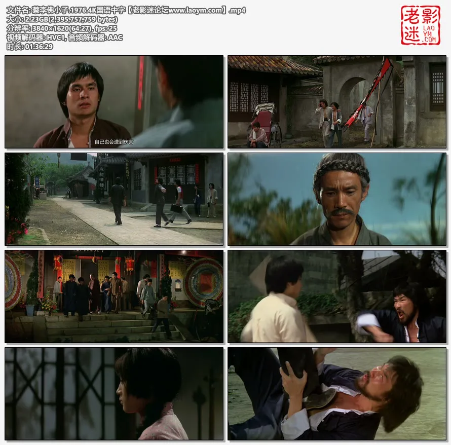 蔡李佛小子.1976.4K国语中字视频截图.webp
