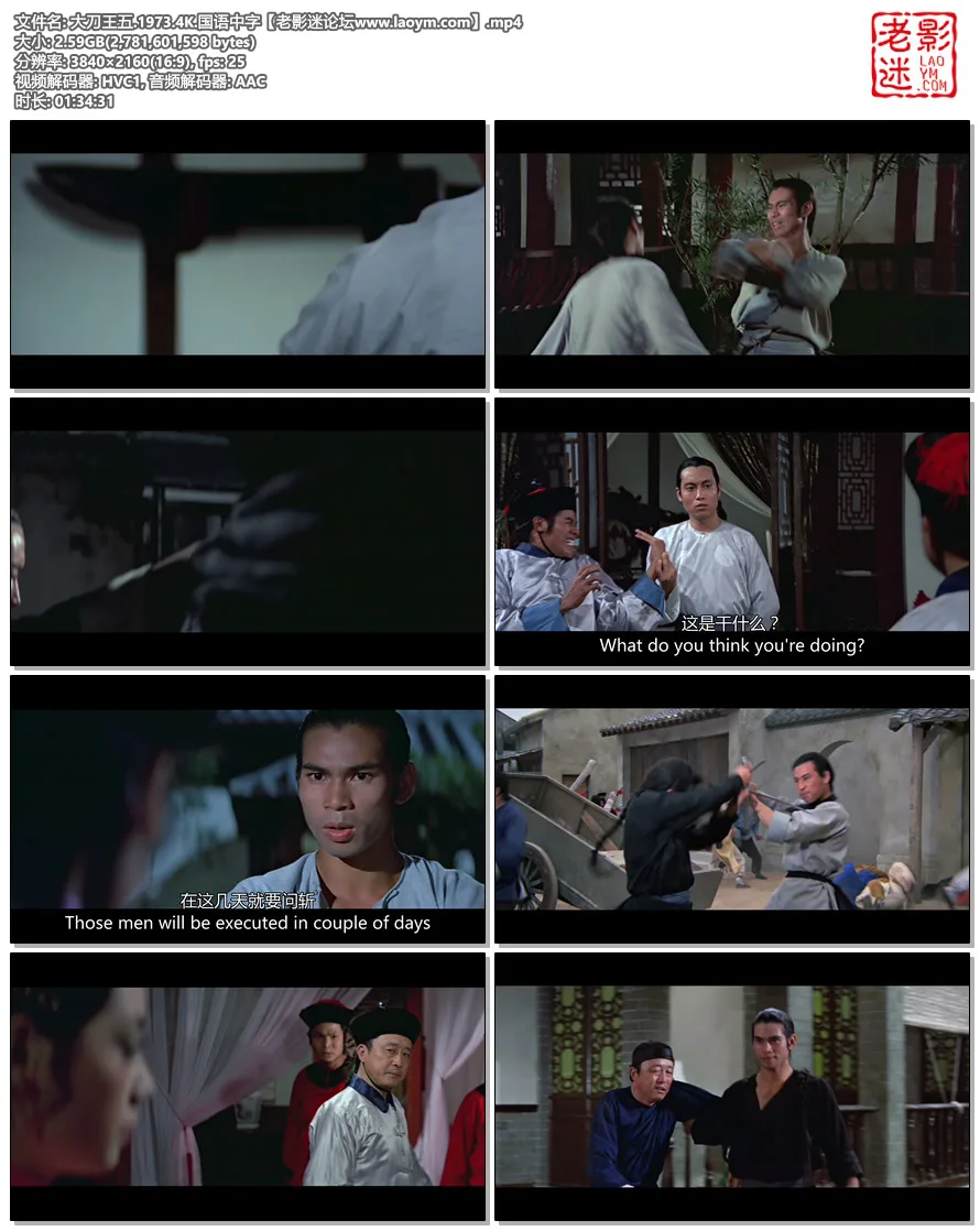 大刀王五.1973.4K.国语中字视频截图.webp