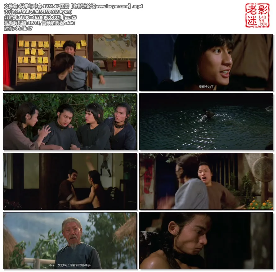 洪拳与咏春.1974.4K.国语.视频截图.webp