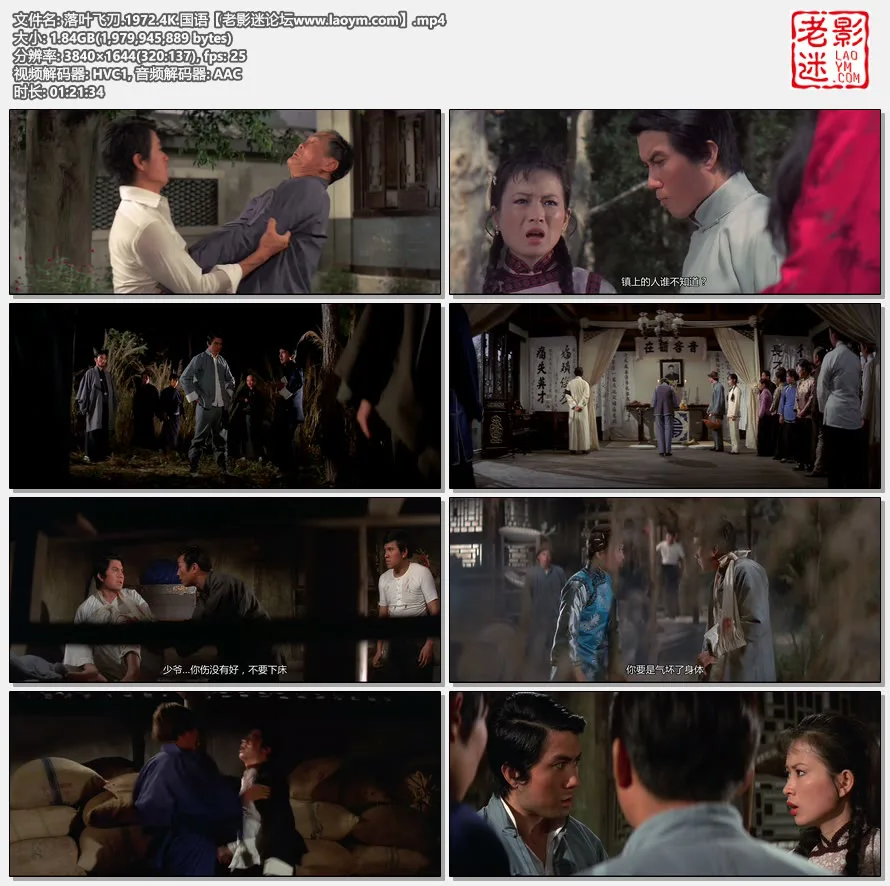 落叶飞刀.1972.4K.国语.视频截图.webp
