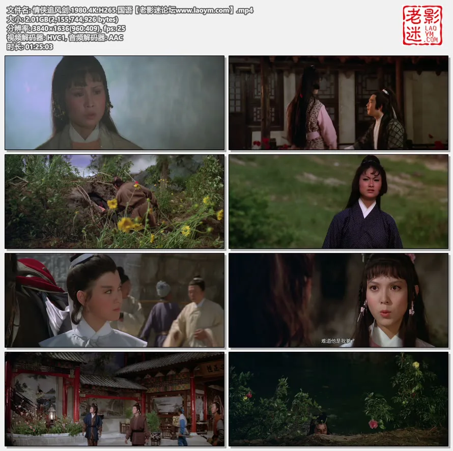 情侠追风剑.1980.4K.H265.国语.视频截图.webp