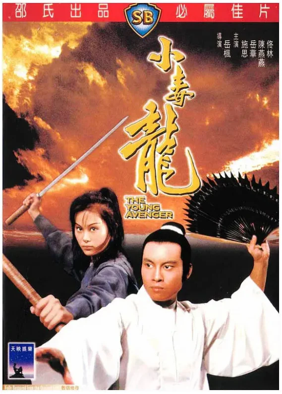 小毒龙的电影海报.webp
