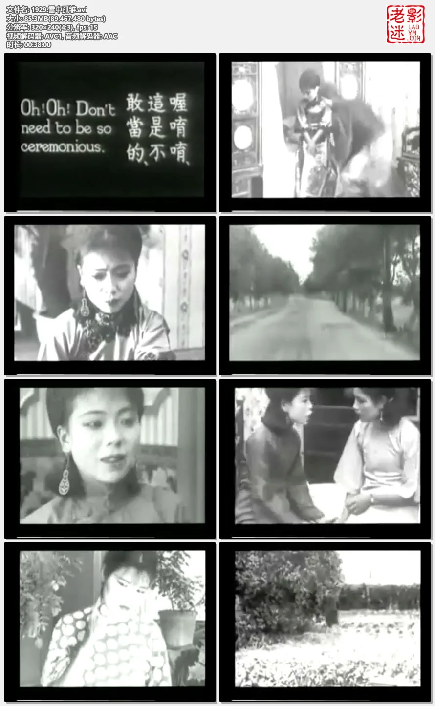 1929.雪中孤雏.avi.webp