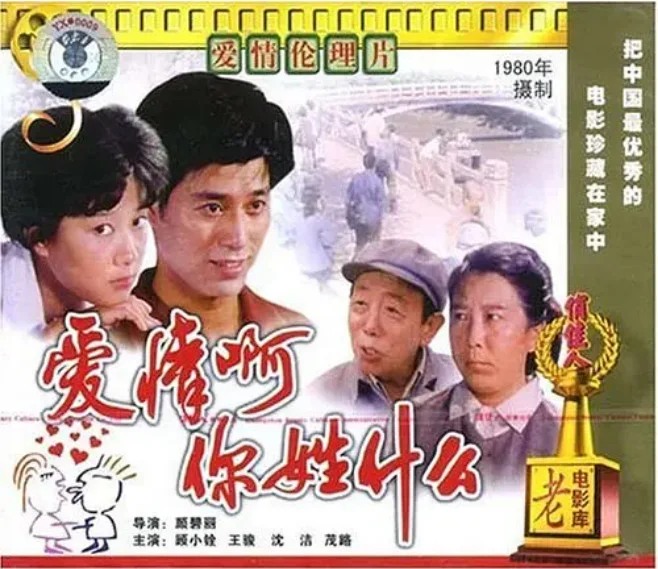 爱情啊，你姓什么？的电影海报.webp