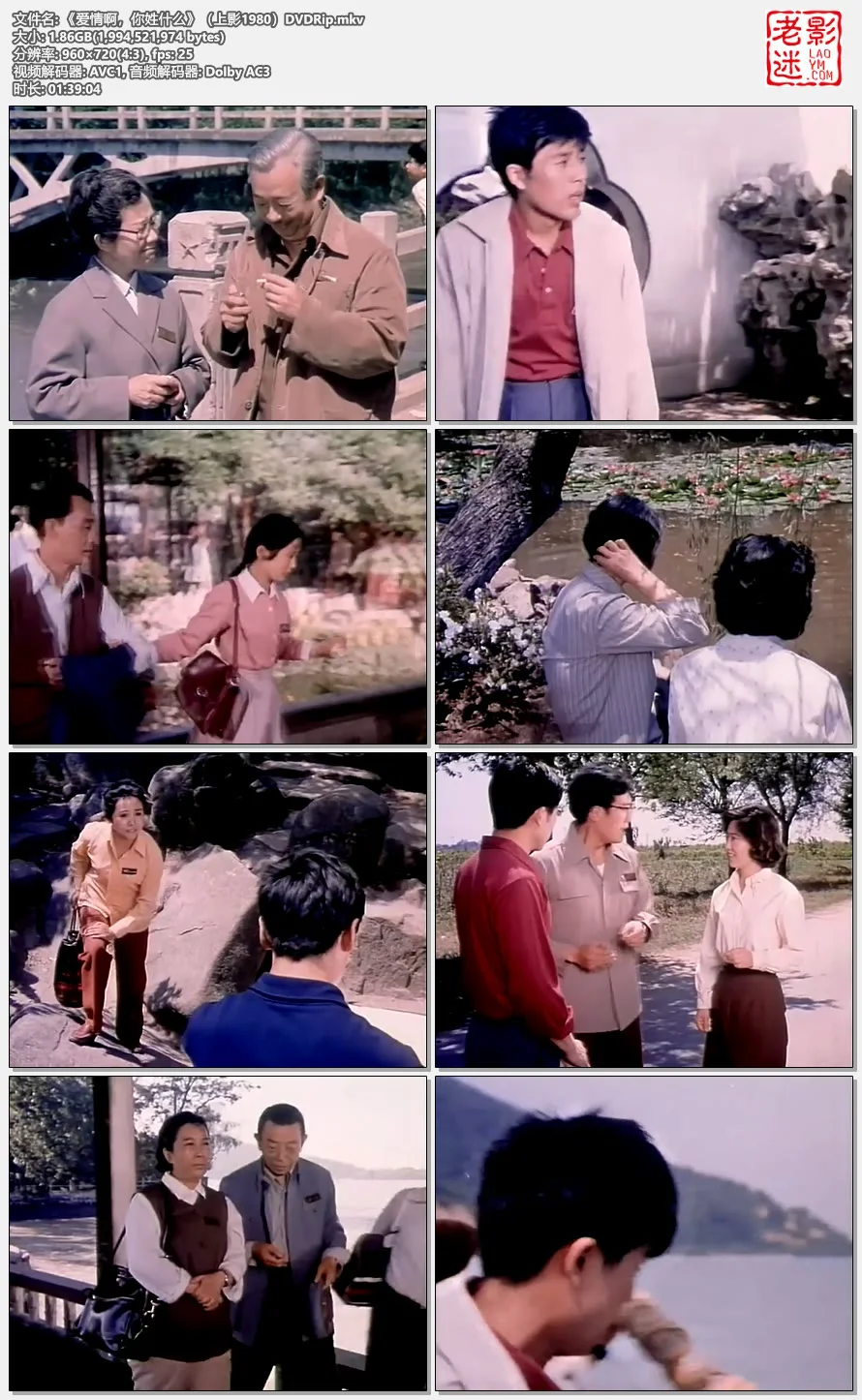 《爱情啊，你姓什么》（上影1980）DVDRip的视频截图.webp