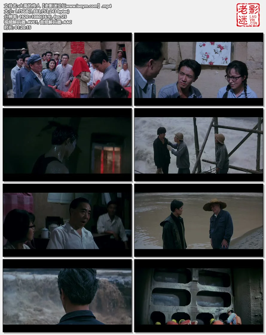 大禹的传人.视频截图.webp