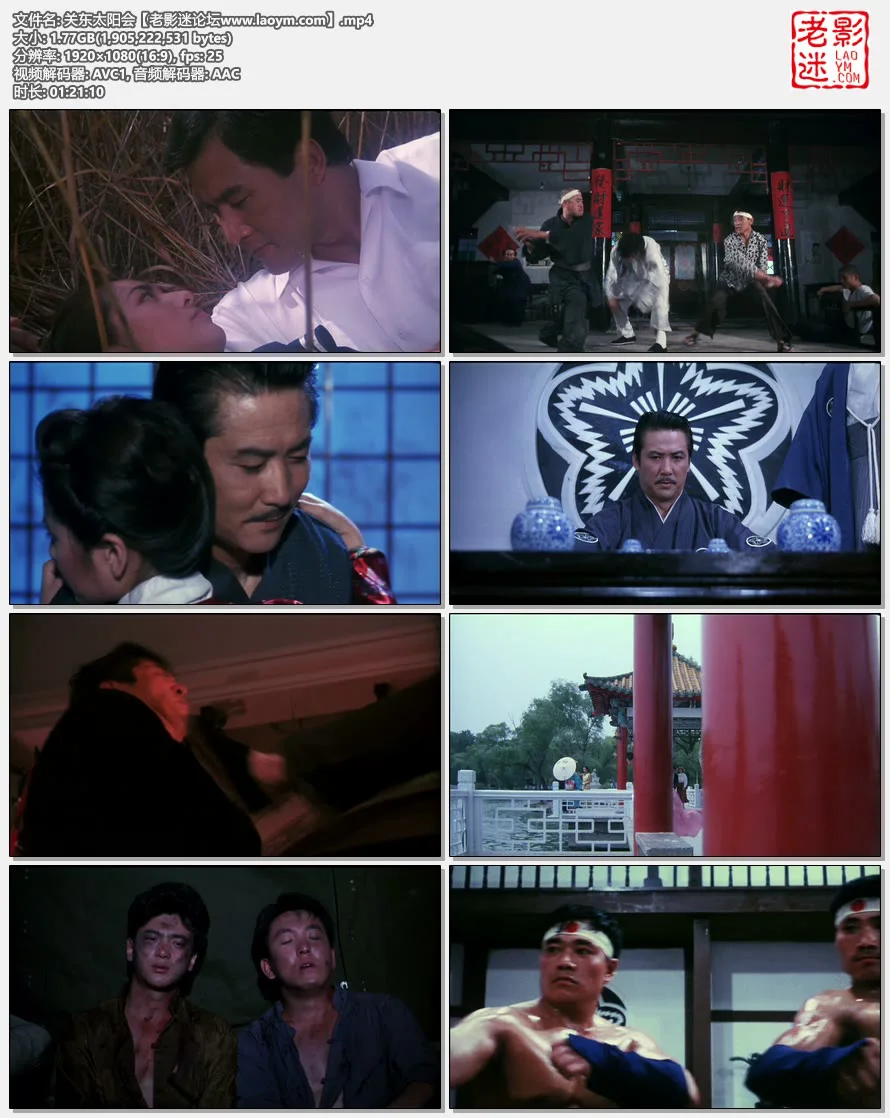 关东太阳会.视频截图.webp