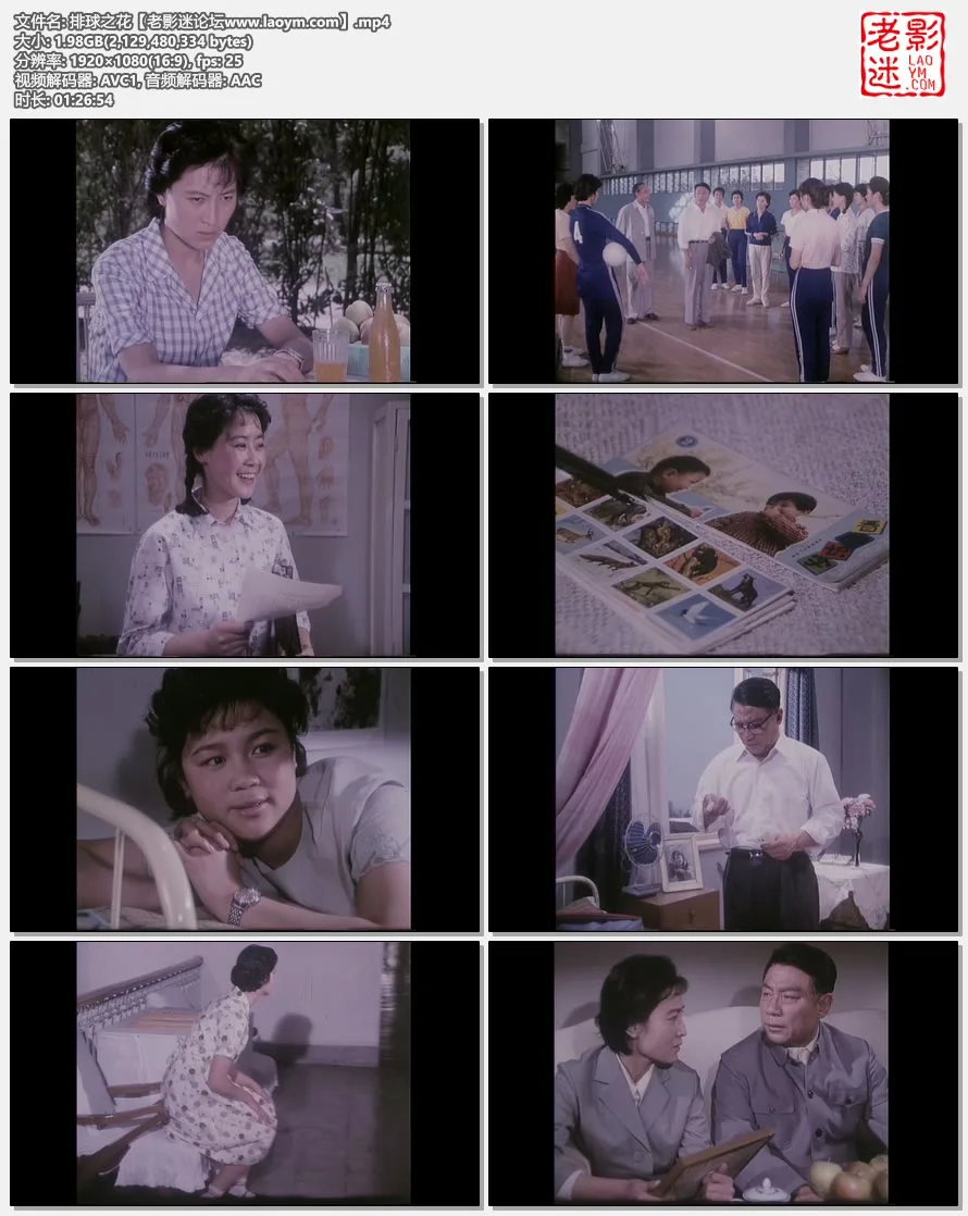 排球之花.视频截图.webp