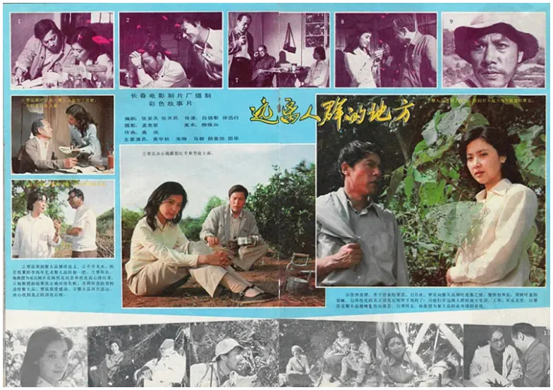 远离人群的地方的电影海报.webp
