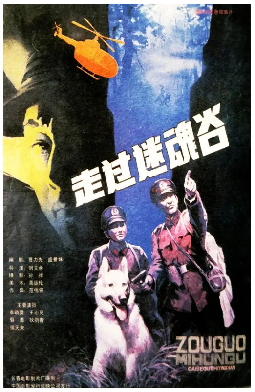 走过迷魂谷的电影海报.webp