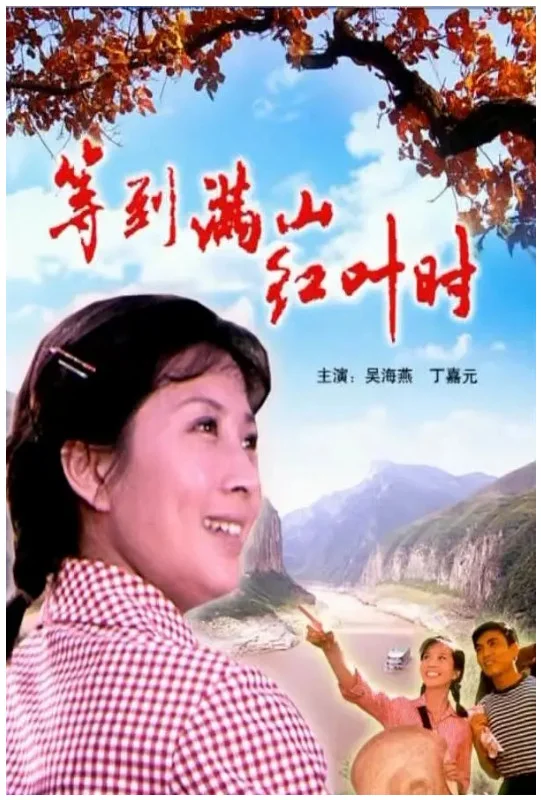 等到满山红叶时的电影海报.webp