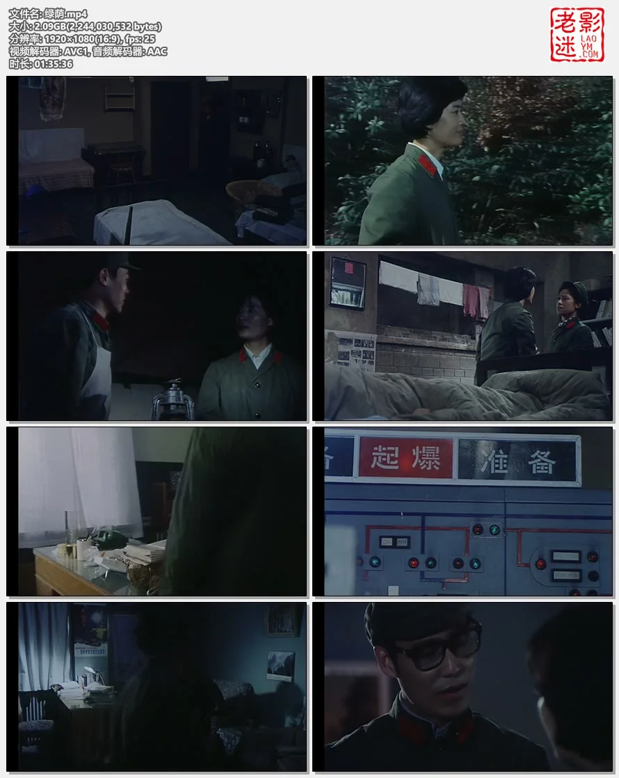 绿荫的视频截图.webp