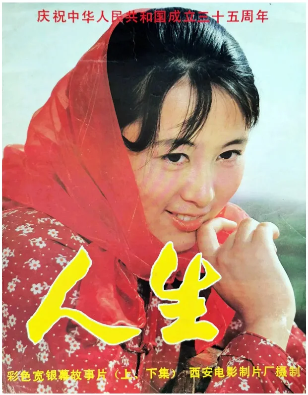 人生的电影海报.webp