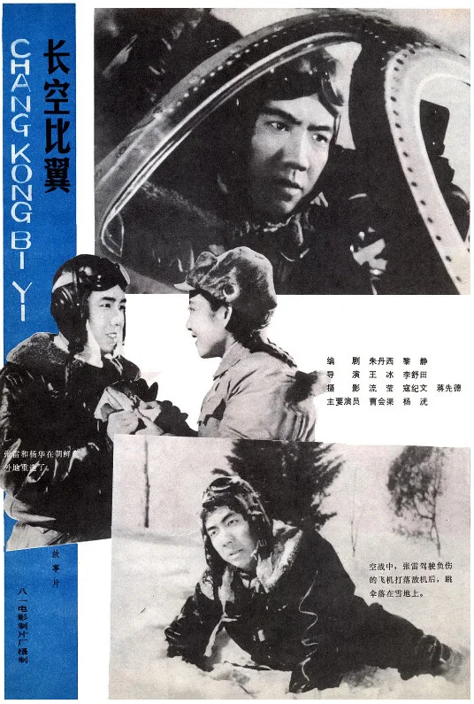 长空比翼的电影海报.webp