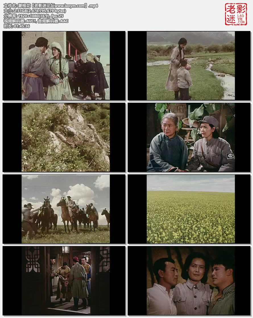 蒙根花.视频截图.webp