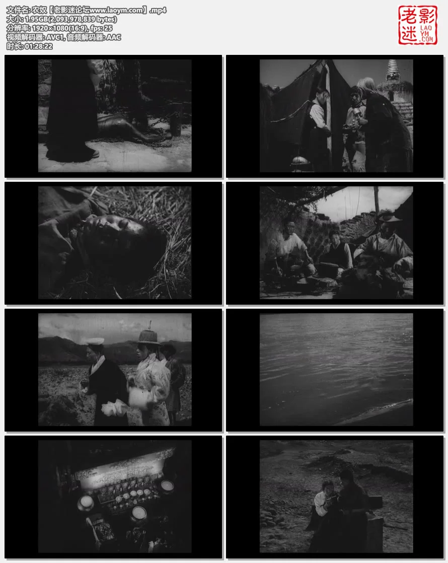 农奴.视频截图.webp