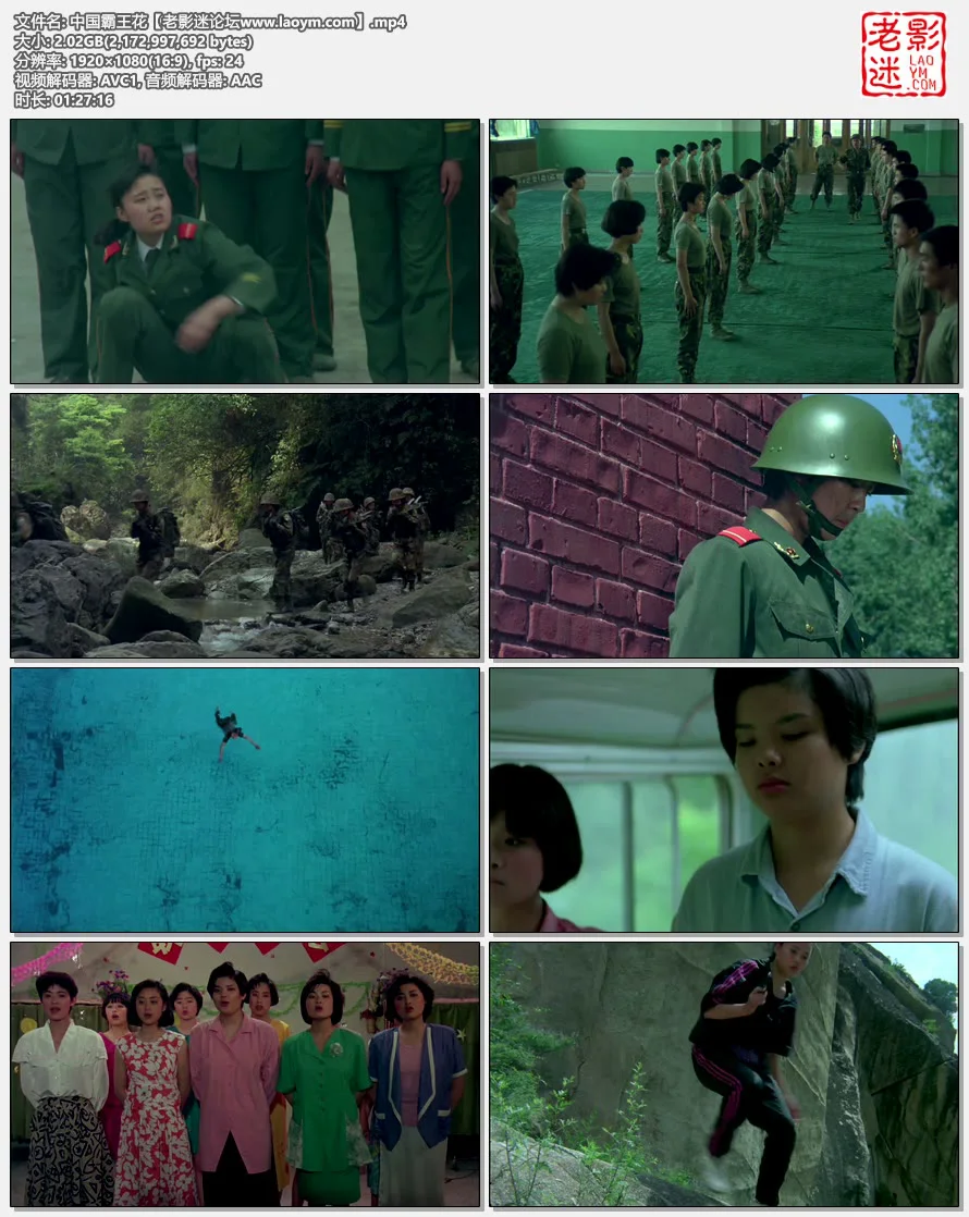 中国霸王花.视频截图.webp