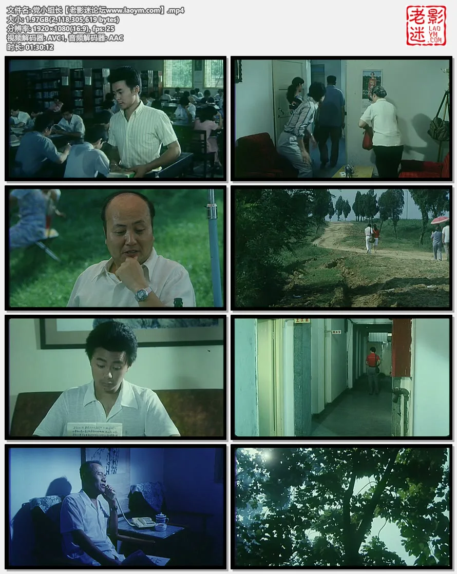 党小组长.视频截图.webp