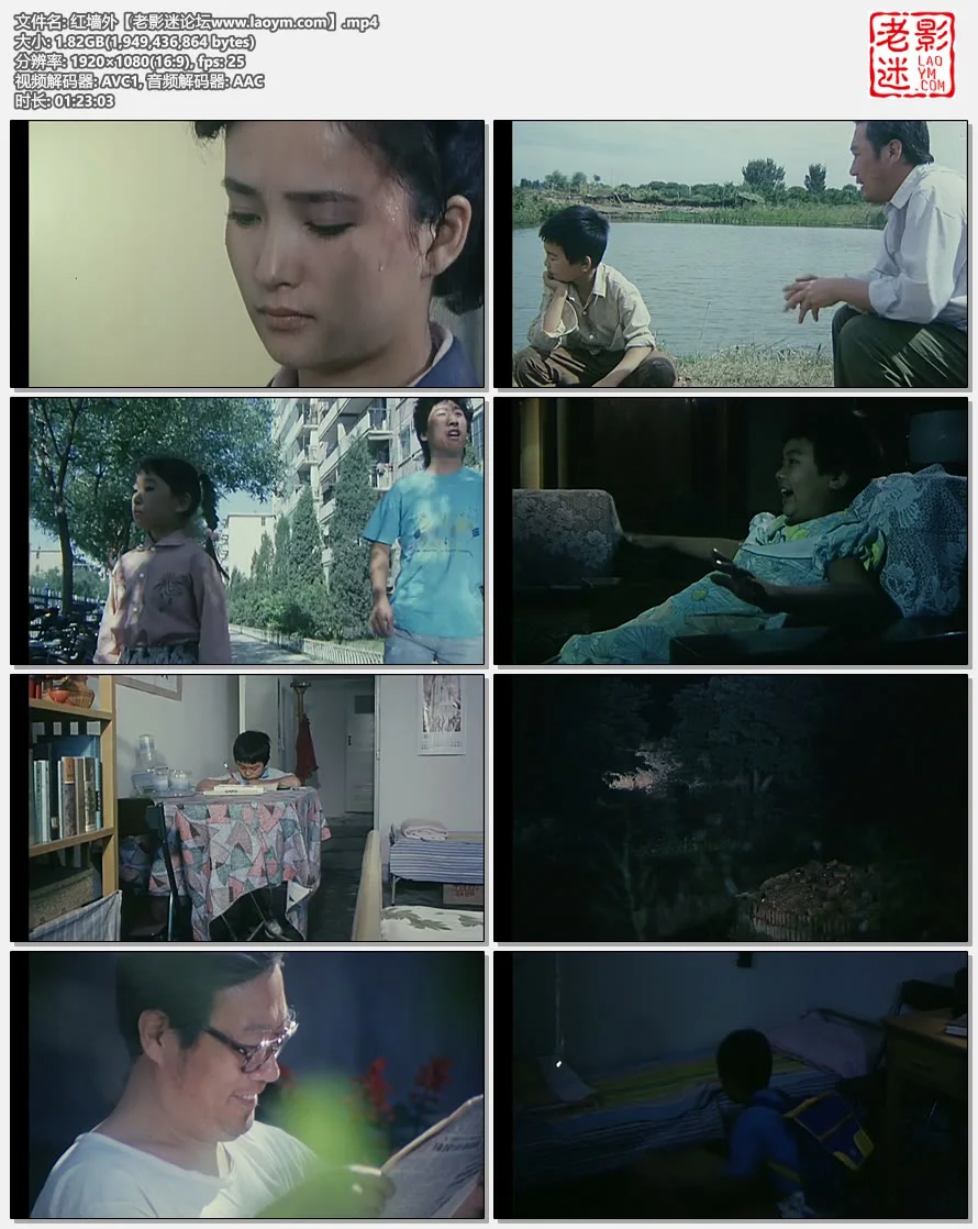 红墙外.视频截图.webp