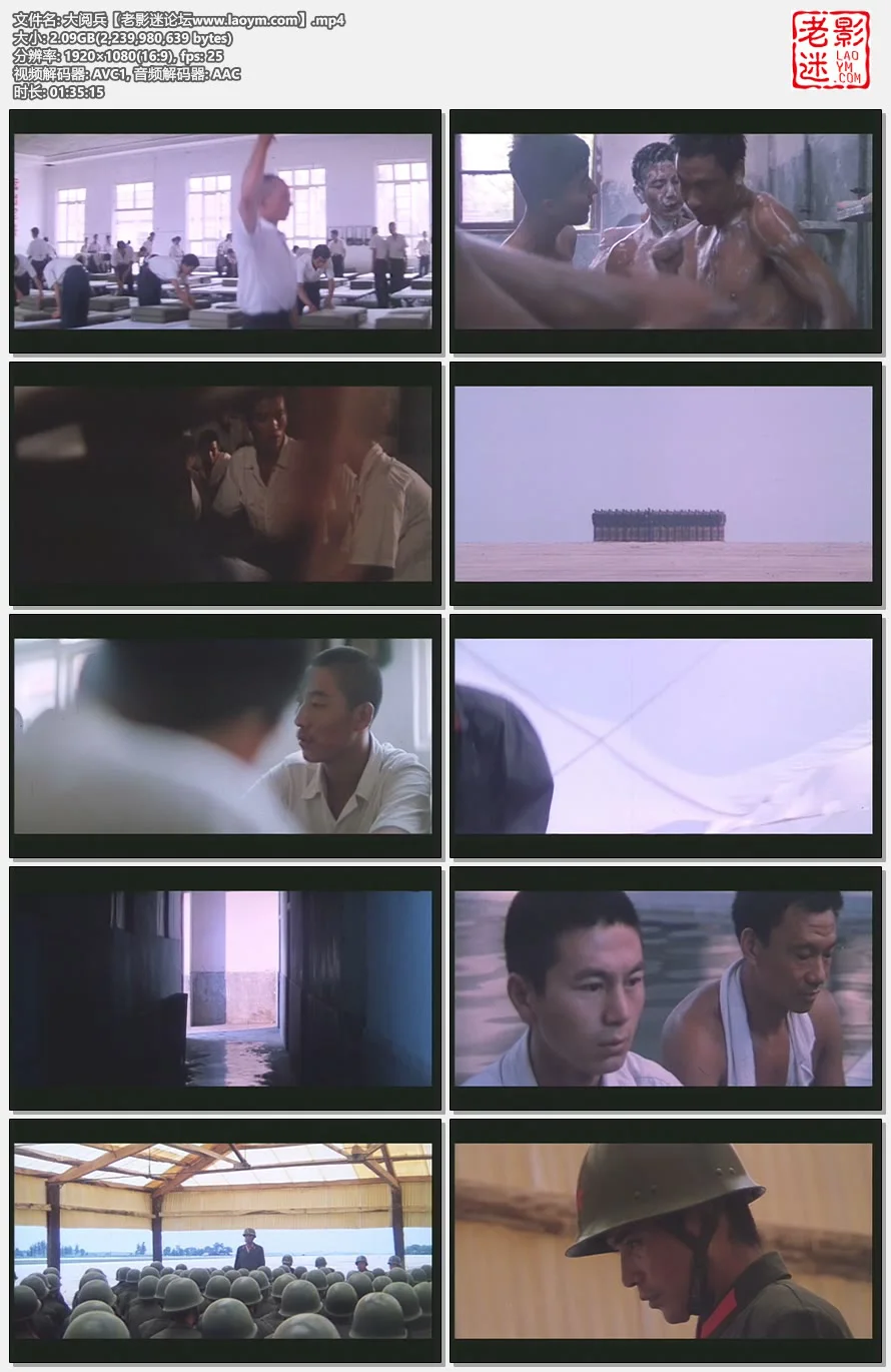 大阅兵.视频截图.webp