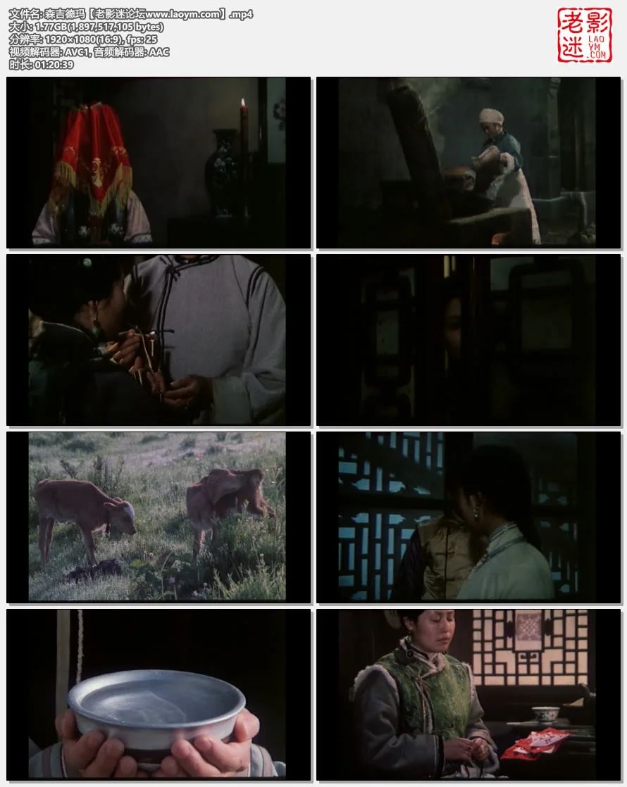 森吉德玛.视频截图.webp