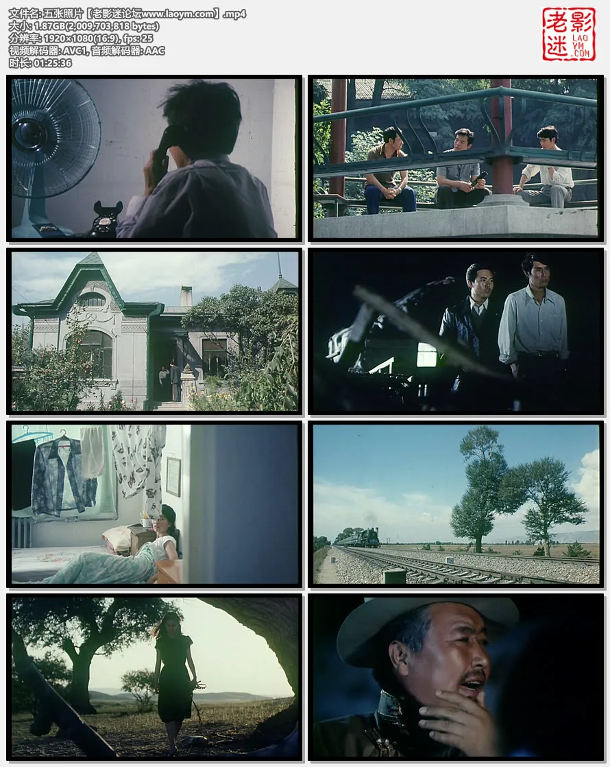 五张照片.视频截图.webp