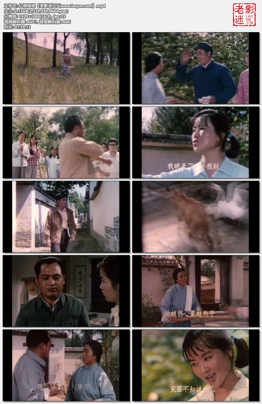 红柳绿柳.视频截图.webp