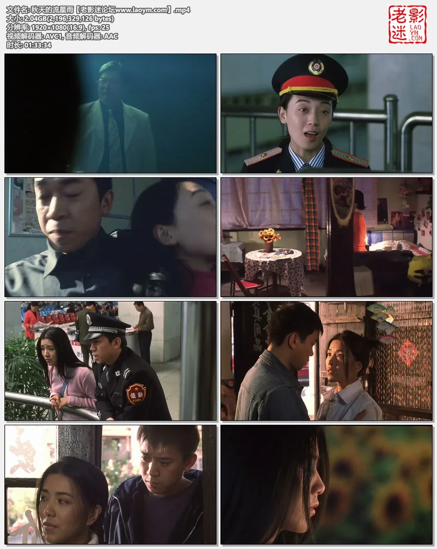 秋天的流星雨.视频截图.webp