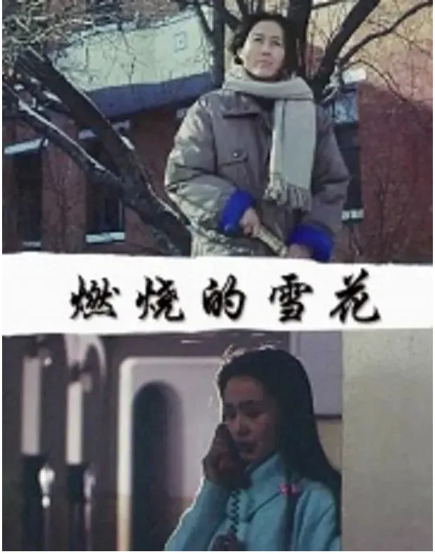 燃烧的雪花的电影海报.webp