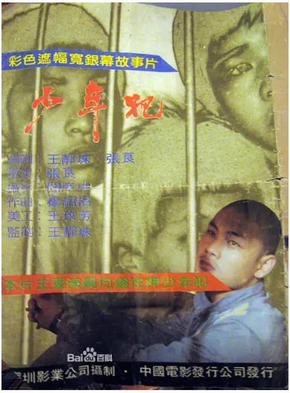 少年犯的电影海报.webp