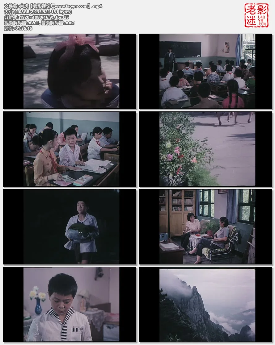 大虎.视频截图.webp