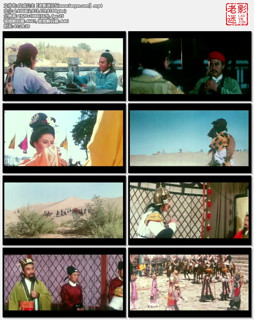 文成公主.视频截图.webp