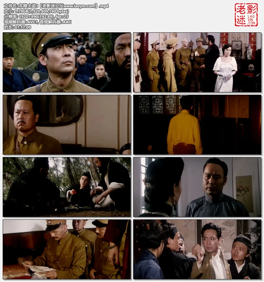 东陵大盗3.视频截图.webp
