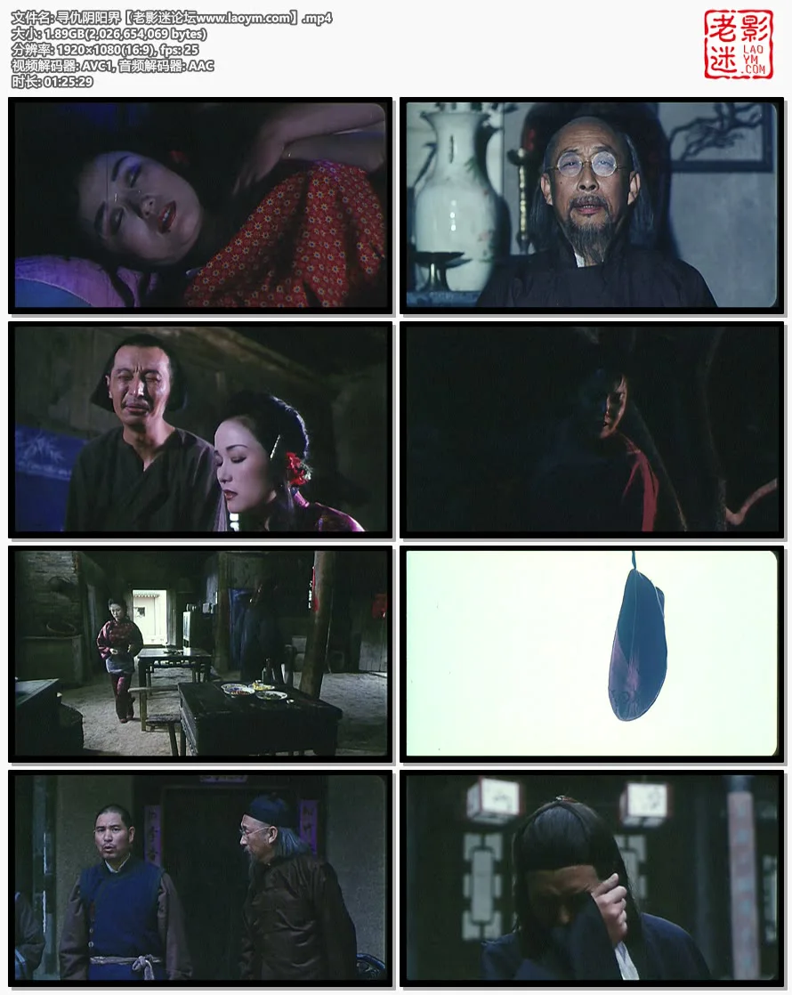 寻仇阴阳界.视频截图.webp