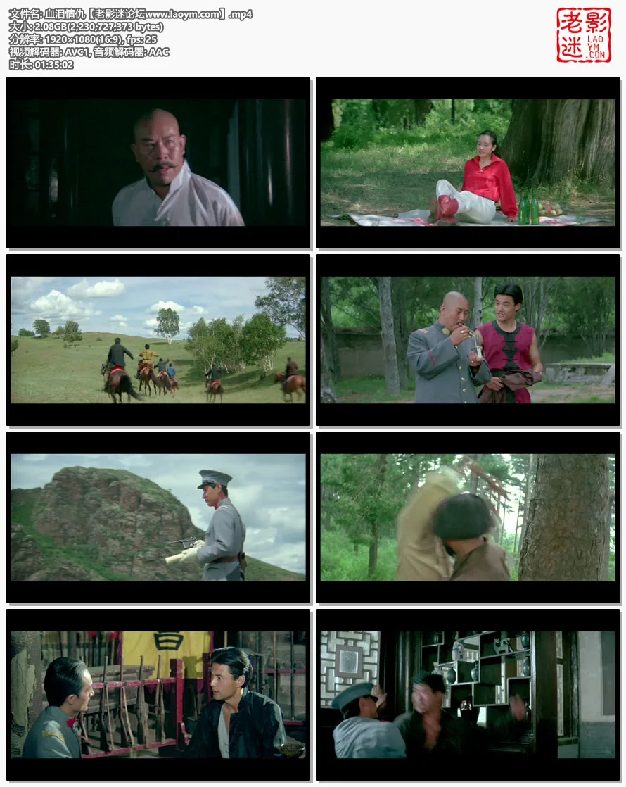 血泪情仇.视频截图.webp
