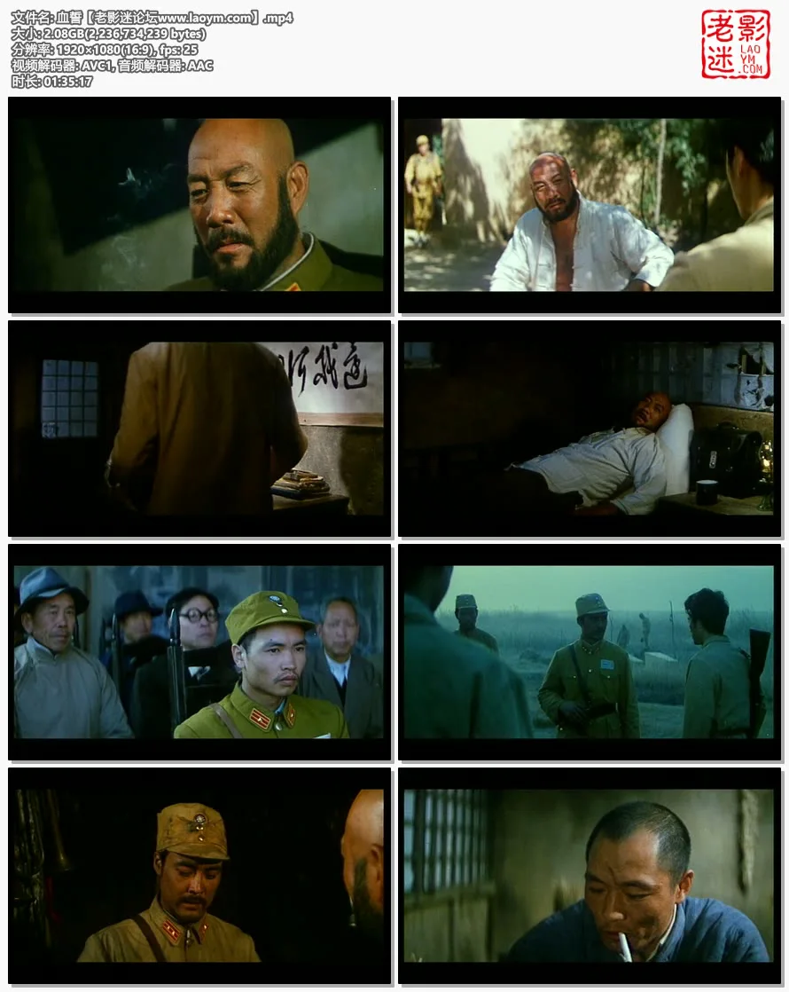 血誓.视频截图.webp