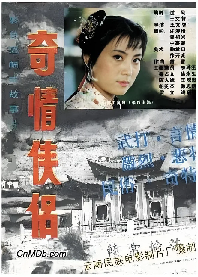 奇情侠侣的电影海报.webp