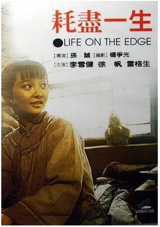 耗尽一生的电影海报.webp