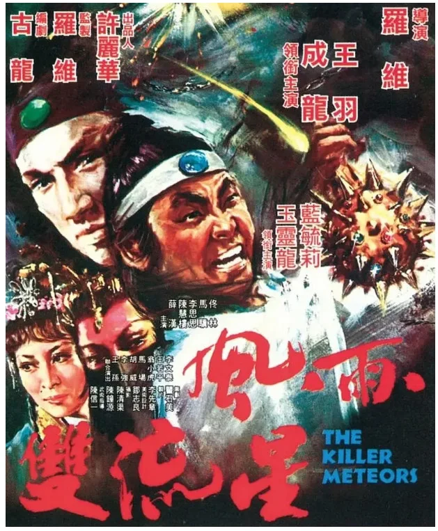 风雨双流星的电影海报.webp