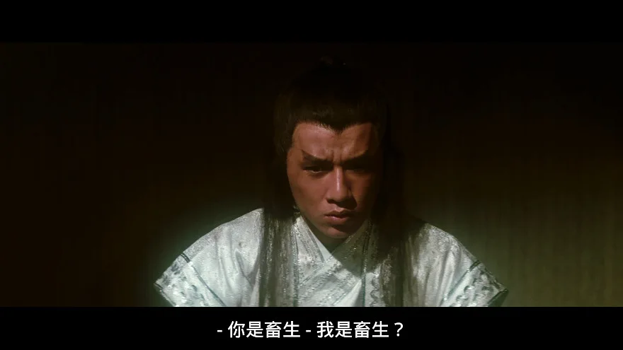 剑花烟雨江南的视频截图3.webp