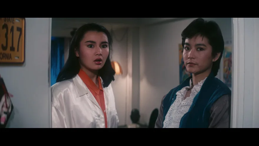 警察故事的视频截图2.webp